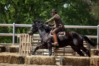 Conoscere l equitazione